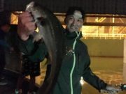 シーマジカル 釣果