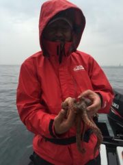 シーマジカル 釣果