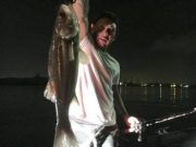 シーマジカル 釣果