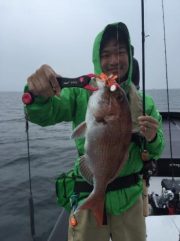 シーマジカル 釣果