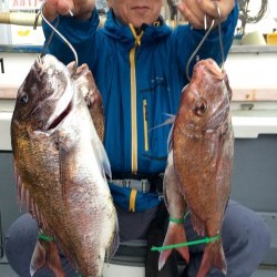 さんさん丸 釣果