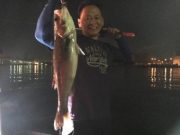 シーマジカル 釣果