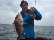 シーマジカル 釣果