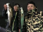 シーマジカル 釣果