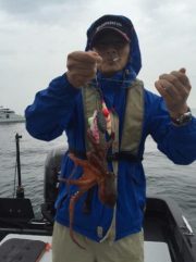 シーマジカル 釣果