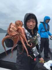 シーマジカル 釣果