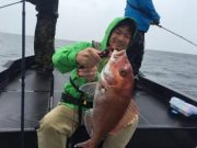 シーマジカル 釣果