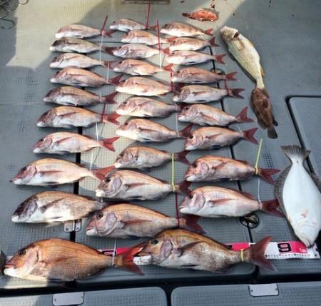 さんさん丸 釣果