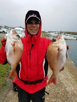 鯛多ニック 釣果