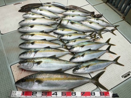 ふじしめ丸 釣果