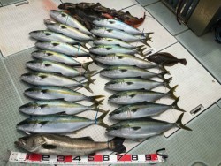 ふじしめ丸 釣果