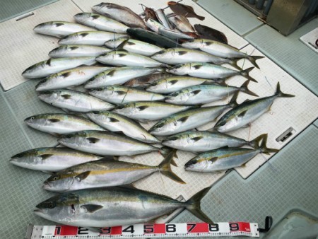 ふじしめ丸 釣果