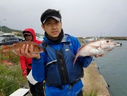 鯛多ニック 釣果