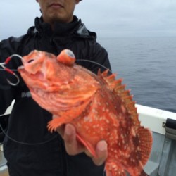 Blue.win 海人丸 釣果