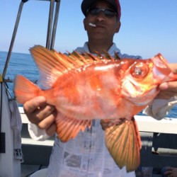 Blue.win 海人丸 釣果