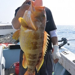 宝生丸 釣果