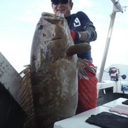 オーシャンパイオニア 釣果
