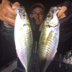 エヌスタイル 釣果