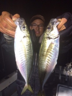 エヌスタイル 釣果