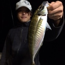 エヌスタイル 釣果