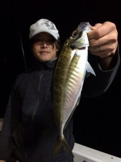 エヌスタイル 釣果