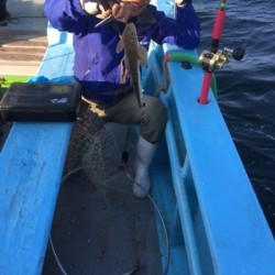 みやけ丸 釣果