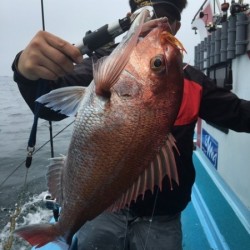 みやけ丸 釣果
