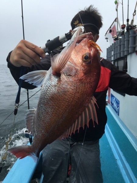 みやけ丸 釣果