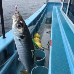 みやけ丸 釣果