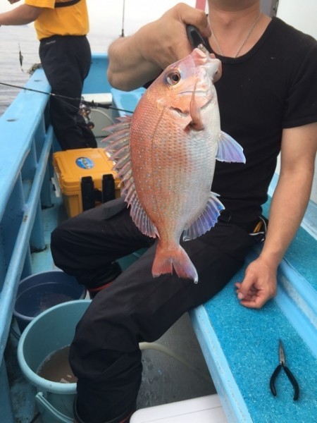 みやけ丸 釣果