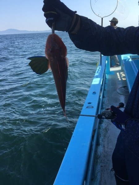 みやけ丸 釣果