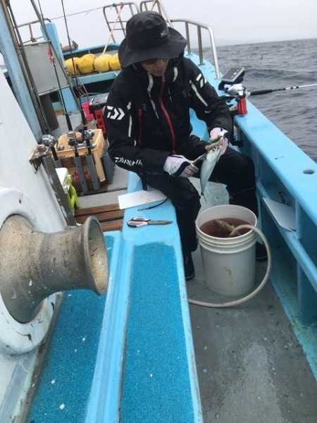 みやけ丸 釣果
