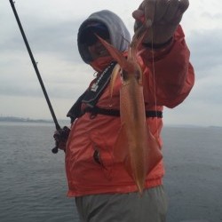 「LaGooN」蒼陽丸 日和号　 釣果