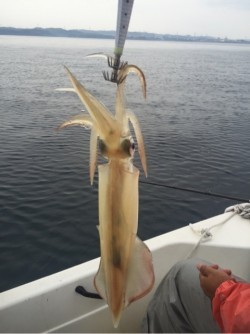 「LaGooN」蒼陽丸 日和号　 釣果