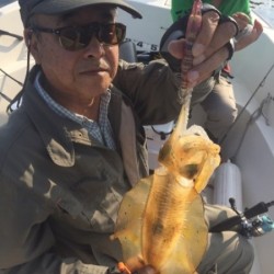 「LaGooN」蒼陽丸 日和号　 釣果