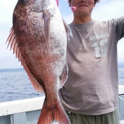 エヌスタイル 釣果