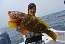 South Current 釣果