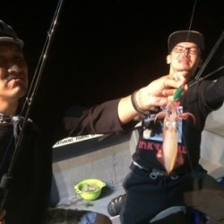 South Current 釣果