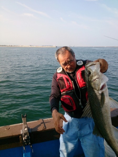 海龍丸 釣果