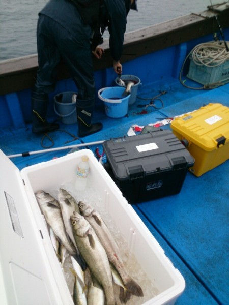 海龍丸 釣果