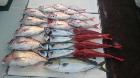 エムズジャーク（M’s JERK） 釣果