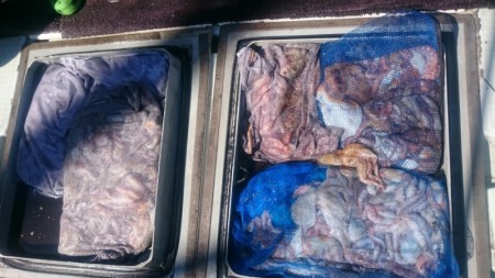 エムズジャーク（M's JERK…