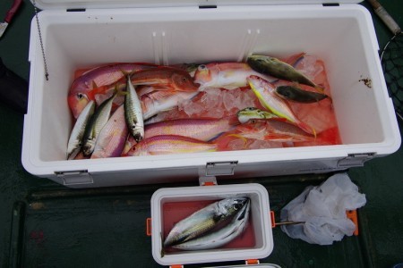 Big One　ビッグワン 釣果