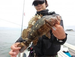 MATSUSHIMA SEANET 釣果