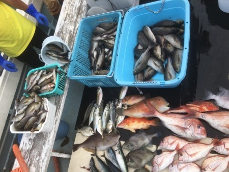 第八 源洋丸 釣果