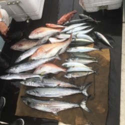 第八 源洋丸 釣果