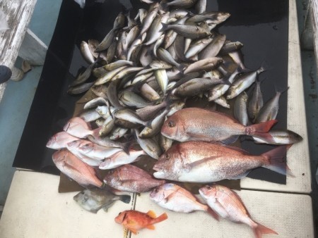 第八 源洋丸 釣果