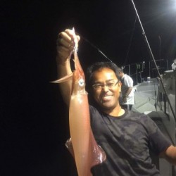 ワープゾーン 釣果