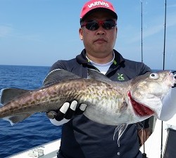 ワープゾーン 釣果