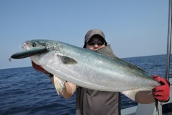 ワープゾーン 釣果